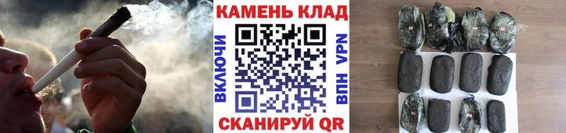 ГАШ гарик darknet как зайти Камышин