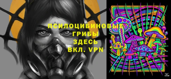 шишки Алзамай