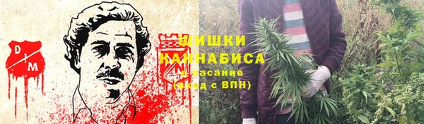 шишки Алзамай