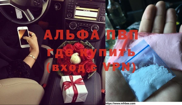 шишки Алзамай