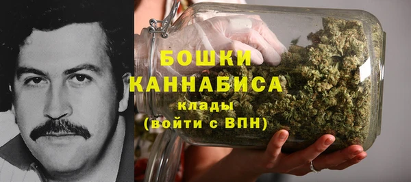 шишки Алзамай