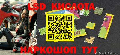 ПСИЛОЦИБИНОВЫЕ ГРИБЫ Краснодар