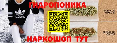ПСИЛОЦИБИНОВЫЕ ГРИБЫ Краснодар