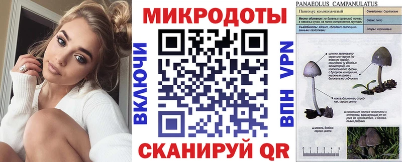 Галлюциногенные грибы Psilocybe  наркота  Камышин 