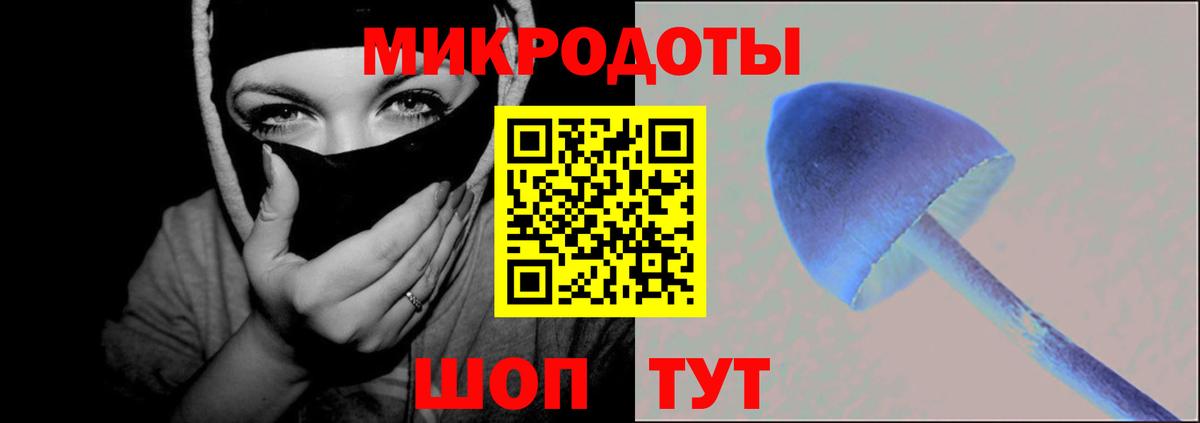 Камышин  Псилоцибиновые грибы Psilocybine cubensis  Вход с VPN  Галлюциногенные грибы Magic Shrooms 